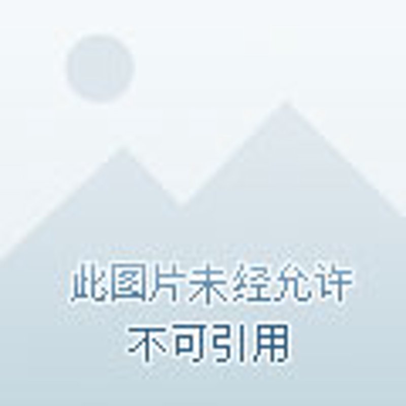信息化建设与管理办公室：一场智慧变革的对话